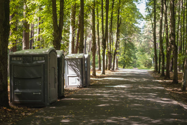 Best Affordable portable toilet rental  in Madison, WV